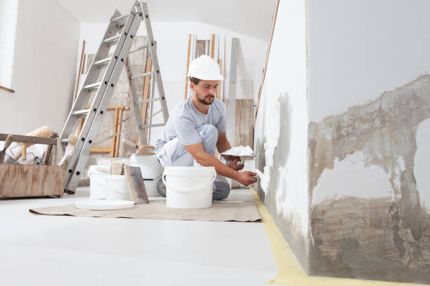 Best Trim and Molding Painting  in Lake Hamilton, AR